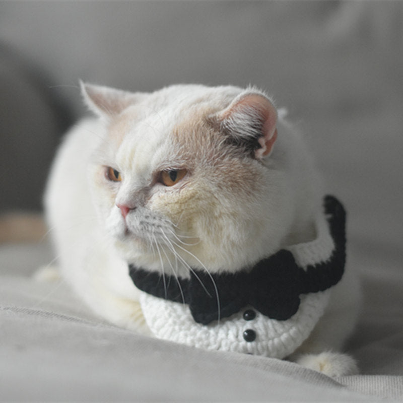 Cat Knitted Gentleman Scarf Collar Magician Hat Small by My Store