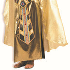 Forum Women's Deluxe Egyptian Goddess Cleopatra Adult Gold Costume by HalloweenStore.com