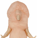 Inflatable Adult Battery Fan Operated Penis Costume by HalloweenStore.com