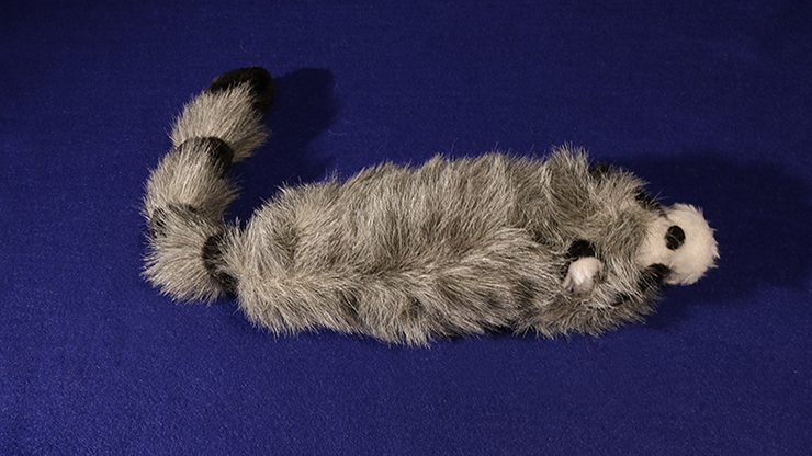 Roxie The Raccoon (Spring Animal) by Murphy's Magic Supplies, Inc.