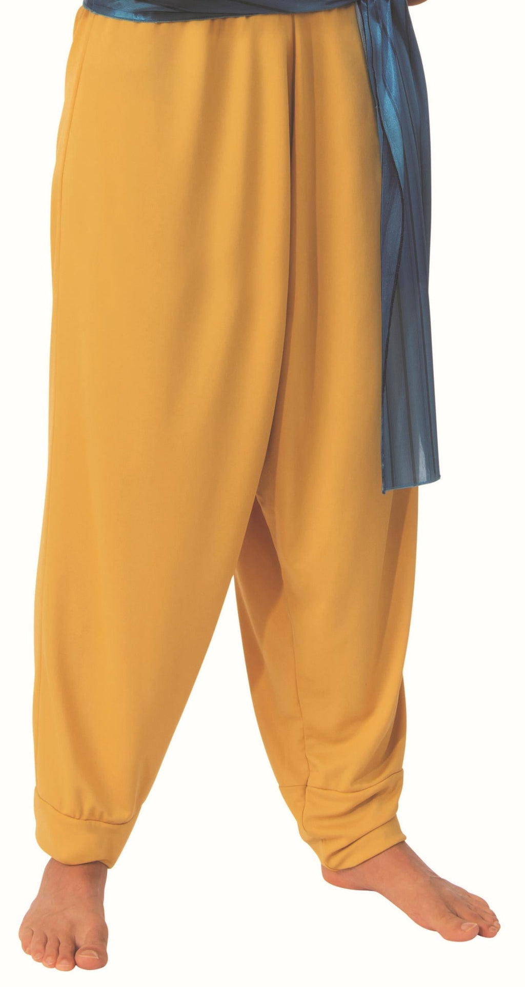 Sultan Arabian Prince Aladdin Adult Costume Size X-Large by HalloweenStore.com