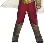 Shazam! Movie Muscle Chest Superhero Toddler Costume by HalloweenStore.com