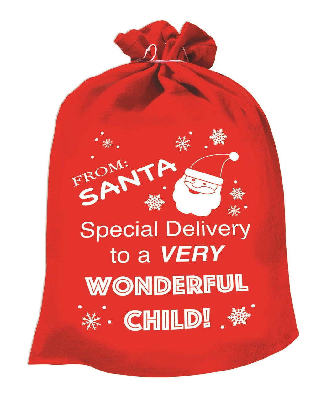 Special Delivery Santa Sack by HalloweenStore.com