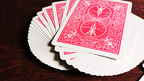Bicycle Fuchsia Playing Cards by US Playing Card Co by Murphy's Magic Supplies, Inc.