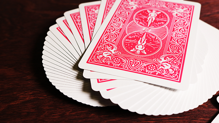 Bicycle Fuchsia Playing Cards by US Playing Card Co by Murphy's Magic Supplies, Inc.