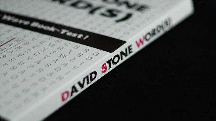 David Stone Words by Yoan Tanuji & Magic Dream (French Version)