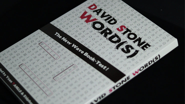 David Stone Words by Yoan Tanuji & Magic Dream (French Version)