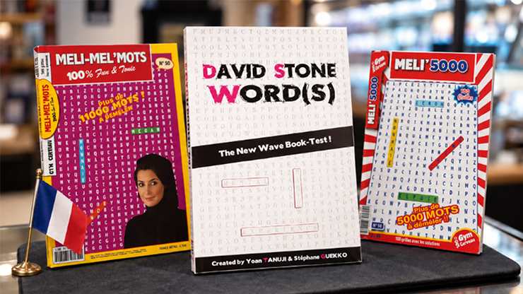 David Stone Words by Yoan Tanuji & Magic Dream (French Version)