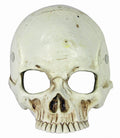 Skeletor Foam Cracked Skull Shao Kahn Skeleton Half Mask by HalloweenStore.com