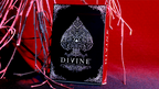 Divine Playing Cards by The United States Playing Card Company by Murphy's Magic Supplies, Inc.