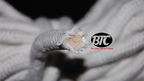 BTC Parlor Rope over 325 ft. (Extra White) (BTC2) - Trick by Murphy's Magic Supplies, Inc.