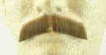 Light Brown Human Hair Gentleman Moustache 2011 by HalloweenStore.com