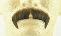 Medium Brown 100% Human Hair European Character Elegant Handlebar Mustache 2028 by HalloweenStore.com