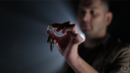 Hidden Hand (DVD and Gimmick) by Sean Fields - DVD by Murphy's Magic Supplies, Inc.