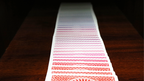 Spectrum Tally Ho Deck by US Playing Card Co. by Murphy's Magic Supplies, Inc.