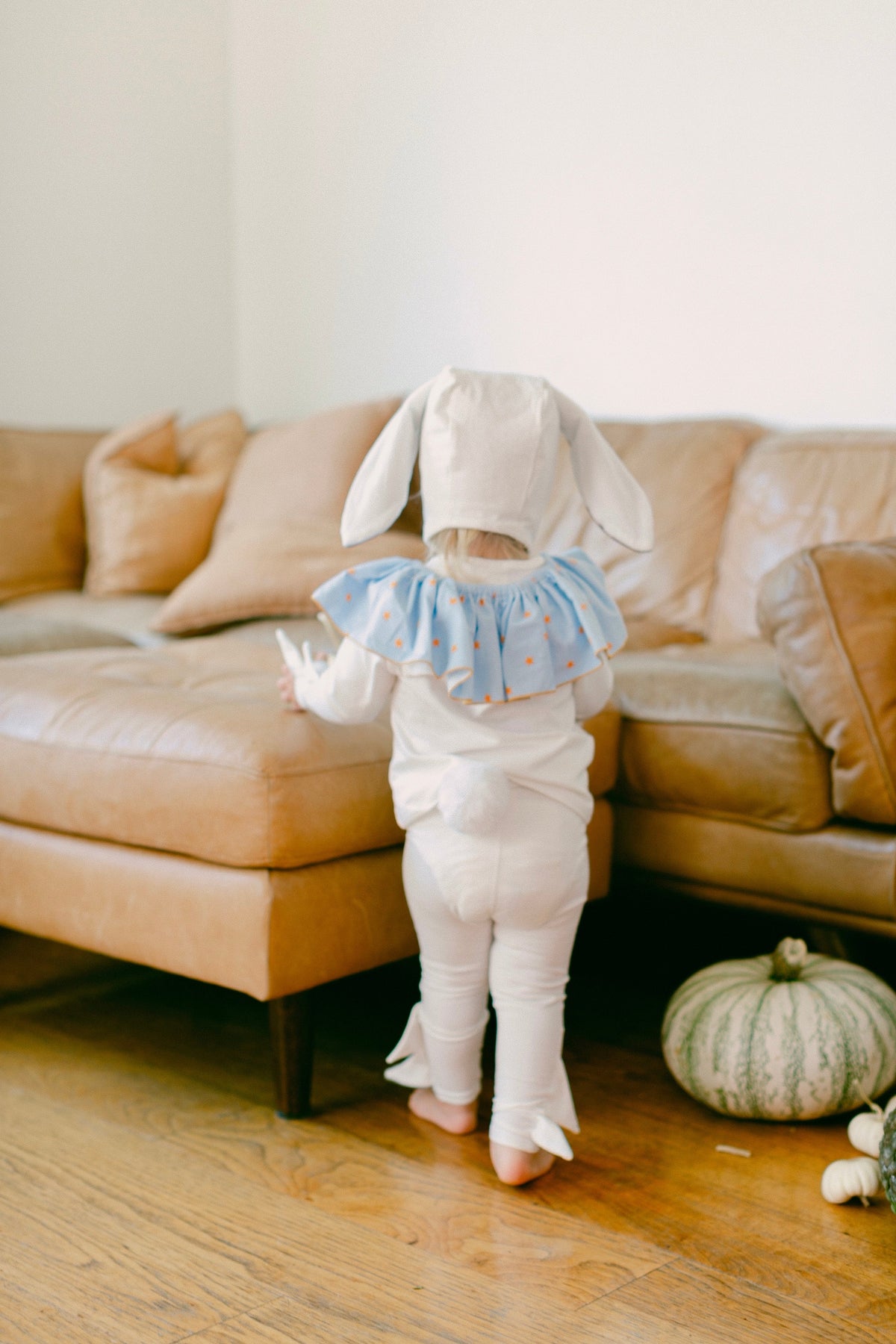 Circus Bunny Halloween Costume by Band of the Wild