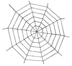 5' Black Window Rope Spiderweb by HalloweenStore.com