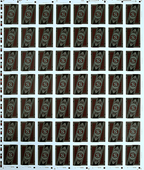 Run Playing Cards: Bankroll Edition (Uncut Sheet) by Murphy's Magic Supplies, Inc.