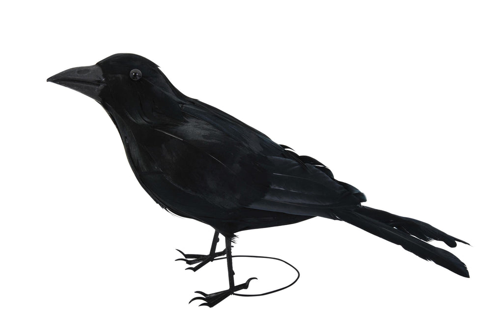 Realistic Giant Black Raven Bird Prop by HalloweenStore.com