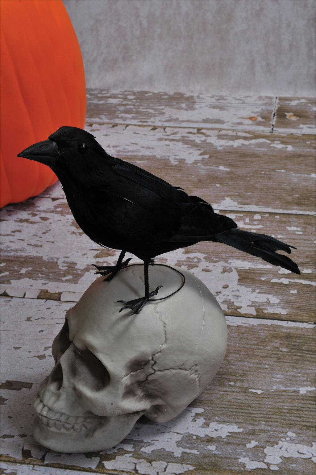 Realistic Giant Black Raven Bird Prop by HalloweenStore.com