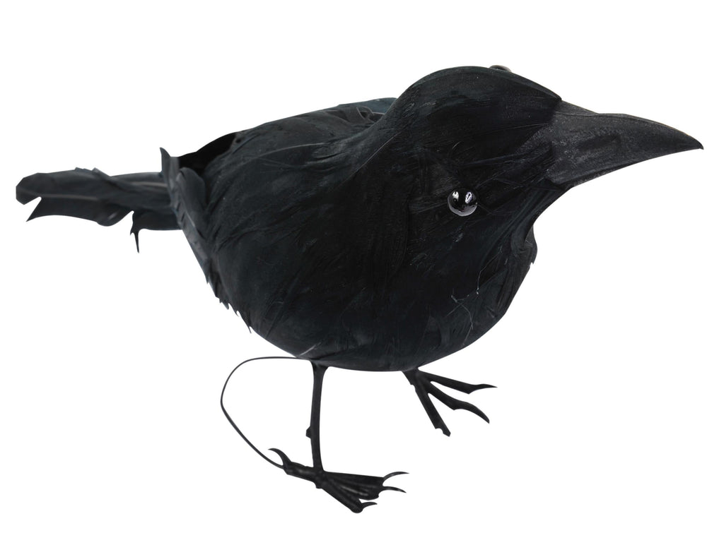 Realistic Giant Black Raven Bird Prop by HalloweenStore.com