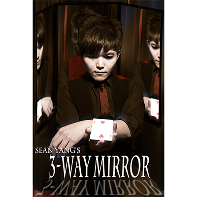 3-Way Mirror by Sean Yang and Magic Soul by Murphy's Magic Supplies, Inc.