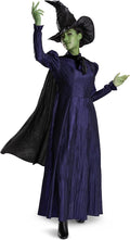 Elphaba Deluxe Witch Classic Wicked Costume for Women Large 12-14 by HalloweenStore.com