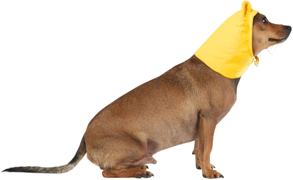 Winnie the Pooh: Pet Costume Headpiece Pooh Bear by HalloweenStore.com