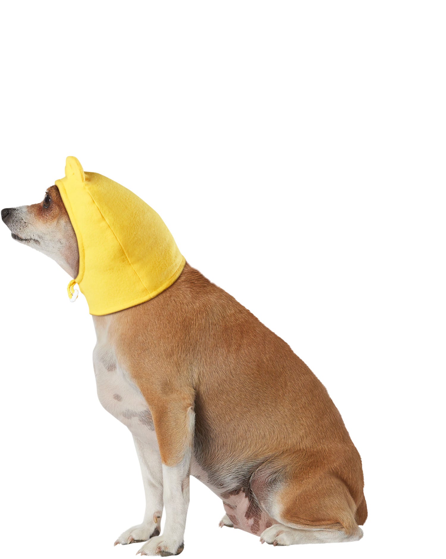 Winnie the Pooh: Pet Costume Headpiece Pooh Bear by HalloweenStore.com