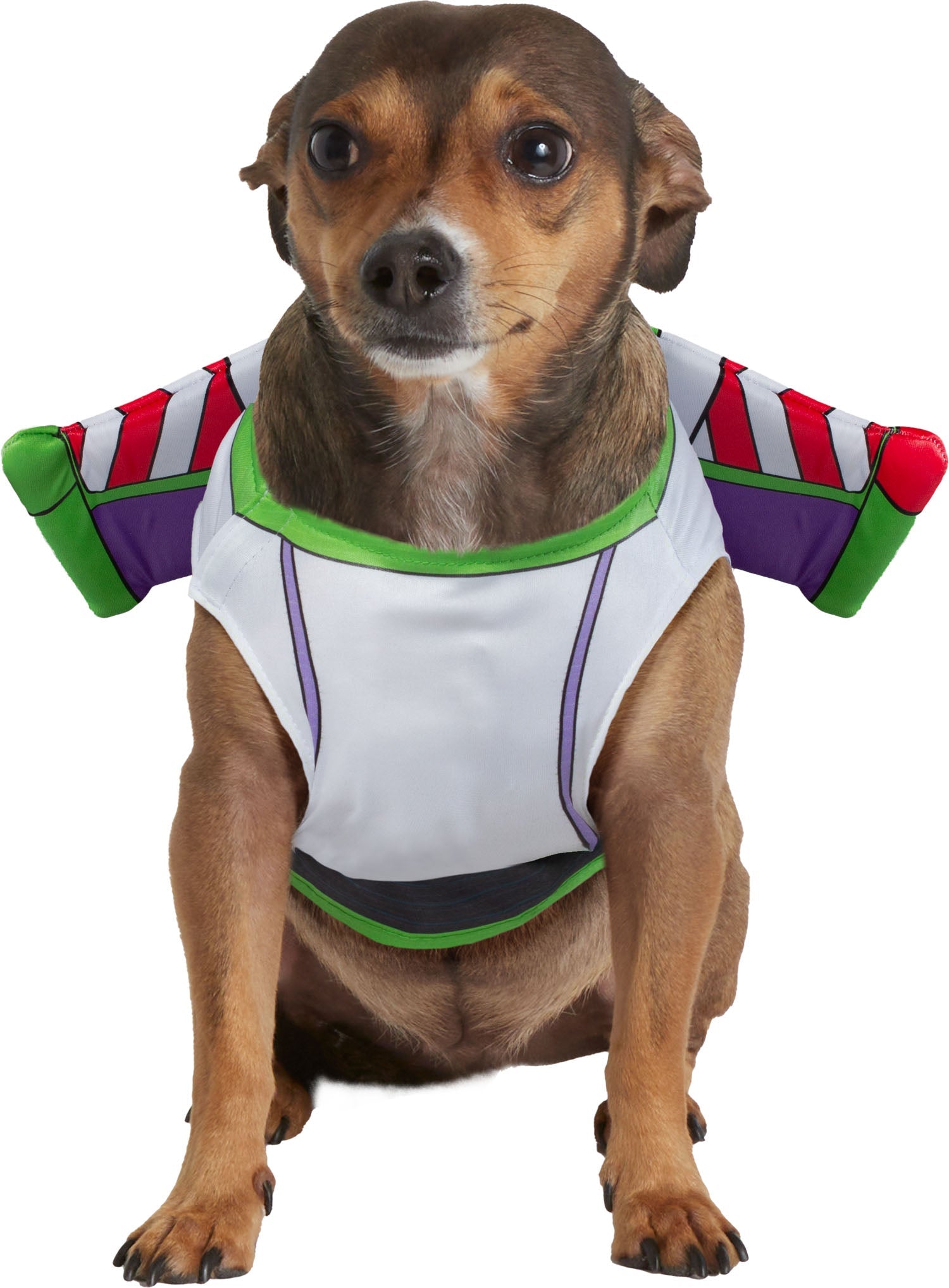 Rubie's Toy Story: Buzz Lightyear Pet Costume Officially Licensed by HalloweenStore.com