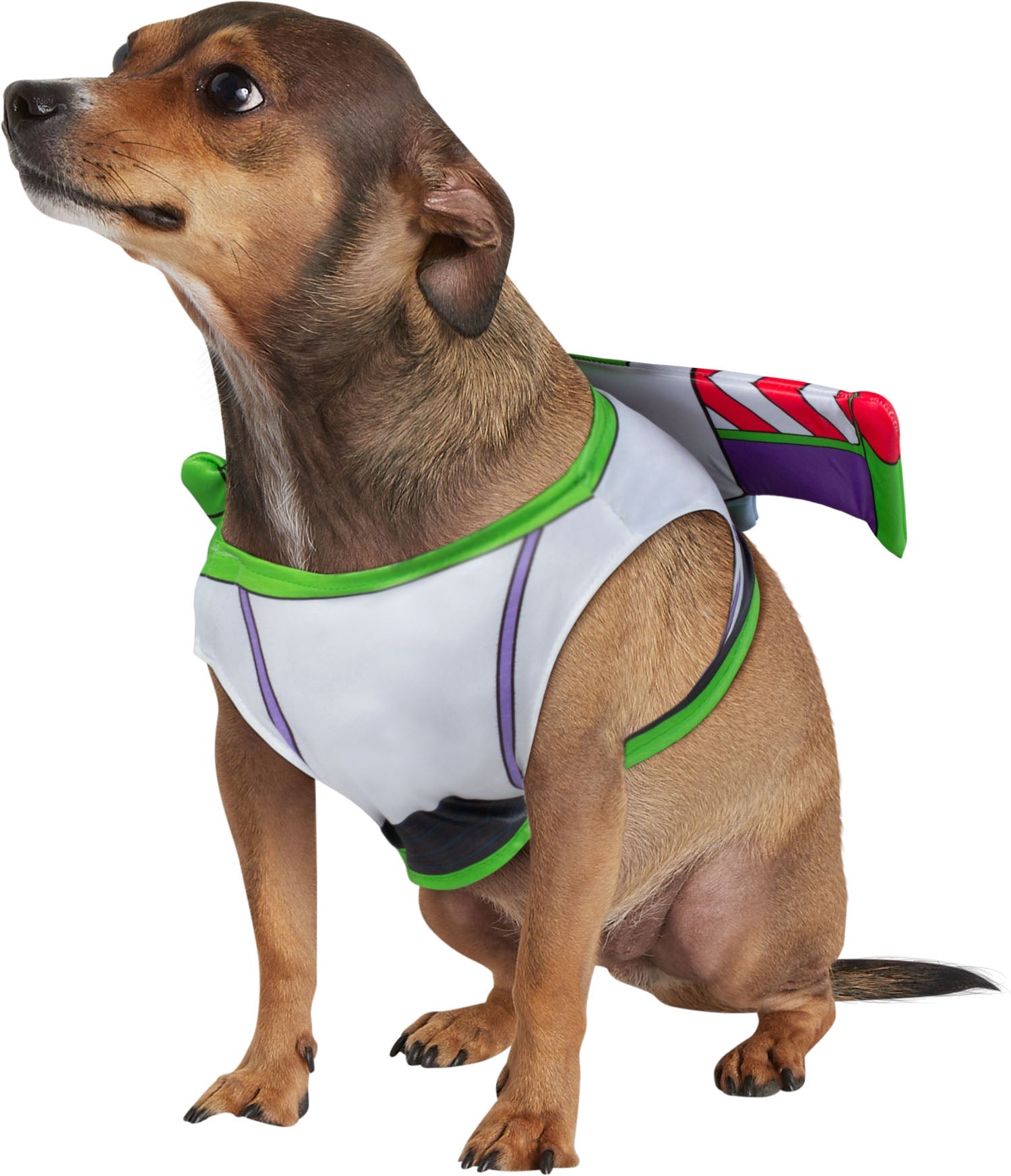 Rubie's Toy Story: Buzz Lightyear Pet Costume Officially Licensed by HalloweenStore.com