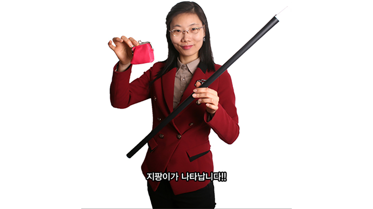 The Rising Cane (Black) - by JL Magic by Murphy's Magic Supplies, Inc.