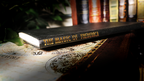 Magic of Frederica (Limited/Out of Print) Edited by Lewis Ganson by Murphy's Magic Supplies, Inc.