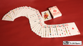 Electric Deck (52 Cards Bridge) by Mr. Magic by Murphy's Magic Supplies, Inc.