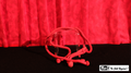 Rope with Four Ends by Mr. Magic by Murphy's Magic Supplies, Inc.