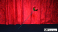 Torch to Rose by Mr. Magic by Murphy's Magic Supplies, Inc.