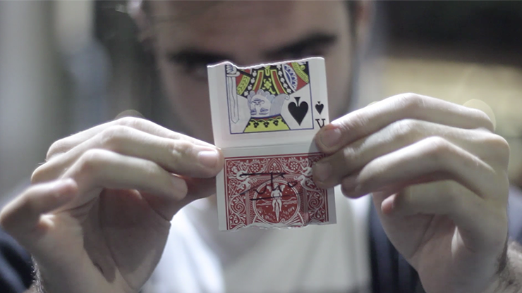 Rejoined by João Miranda Magic and Julio Montoro - Trick by Murphy's Magic Supplies, Inc.