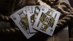 Truth Playing Cards (I Never Believe Me) by Murphy's Magic Supplies, Inc.