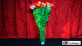 Classic Blooming Bouquet Double (5) by Mr. Magic by Murphy's Magic Supplies, Inc.