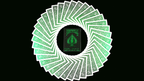 Bicycle MetalLuxe Emerald Playing Cards Limited Edition by JOKARTE by Murphy's Magic Supplies, Inc.