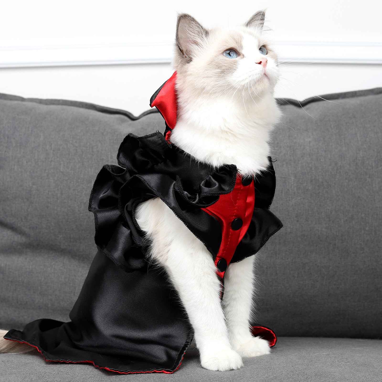 Cat Halloween Vampire Transformation Costume by Pet Zen