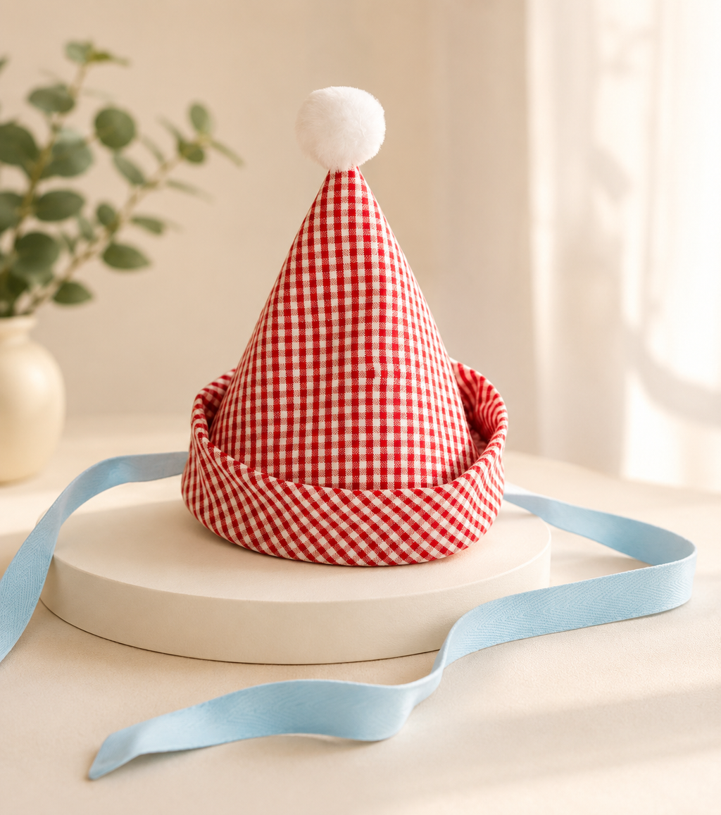 Gingham Party Hat by Band of the Wild