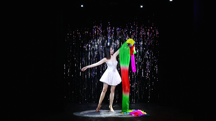 Rainbow Silk Fountain Streamer by Yan Yan Ma and Magiclism by Murphy's Magic Supplies, Inc.