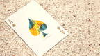 Pearl Playing Cards: Sunrise by Murphy's Magic Supplies, Inc.