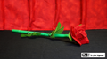 Break Away Rose by Mr. Magic by Murphy's Magic Supplies, Inc.