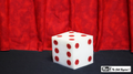 Ball to Dice (Red/White) by Mr. Magic by Murphy's Magic Supplies, Inc.