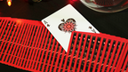 Bicycle Koi Playing Cards by Murphy's Magic Supplies, Inc.