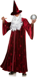 Adult Burgundy Wizard Stargazer Fantasy Magic Sorcerer Men's Costume by HalloweenStore.com