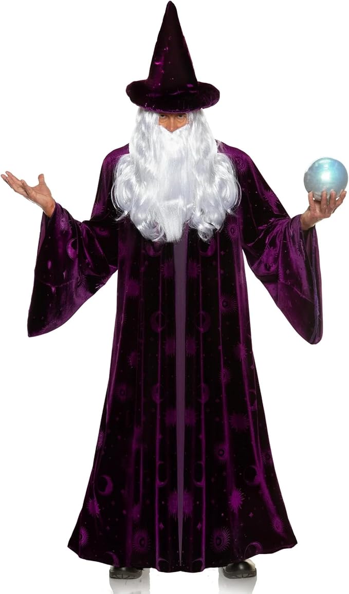 Purple Wizard Midnight Mystic Fantasy Magic Sorcerer Men's Costume by HalloweenStore.com