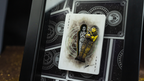 Skymember Presents Ancient Egypt Playing Cards by Calvin Liew and Arise Art Studio by Murphy's Magic Supplies, Inc.